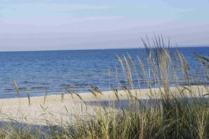 Ein Strand mit Sand und Gras im Vordergrund und einem ruhigen Meer im Hintergrund.