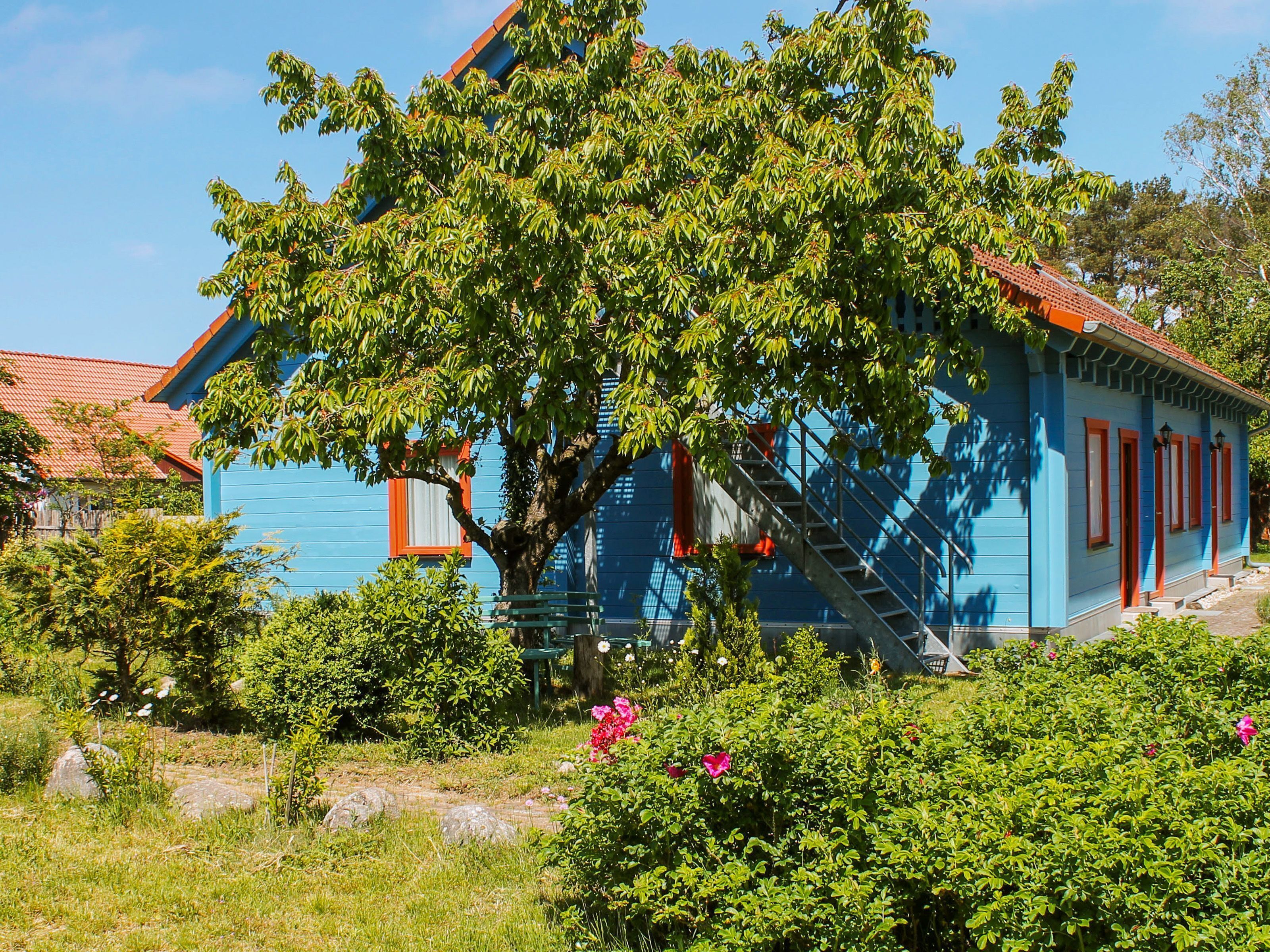 Une maison bleue avec un toit rouge, entourée d’une végétation luxuriante et d’un arbre sur lequel est adossée une échelle.