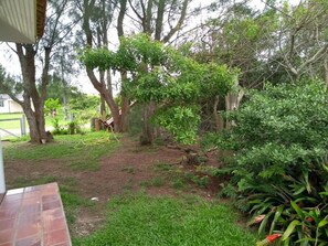 Área da propriedade