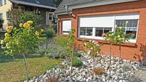 A residential garden with a variety of plants and a brick house with white window shutters.