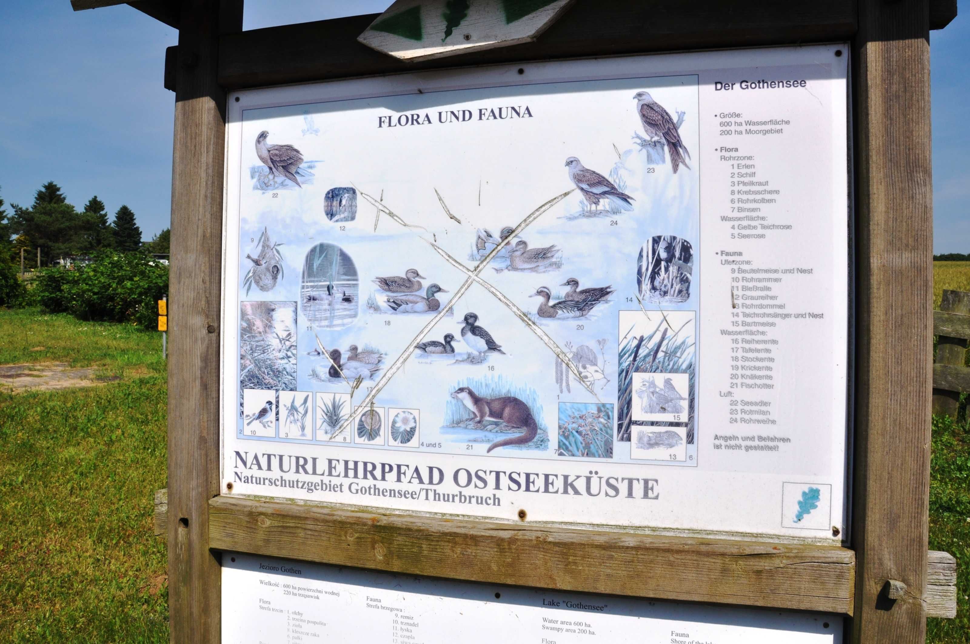 Een gedetailleerd informatietoestel over de natuur, met afbeeldingen van vogels en planten.