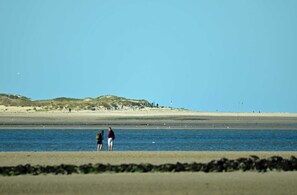 Imagen sin descripción, 2 de 33, botón