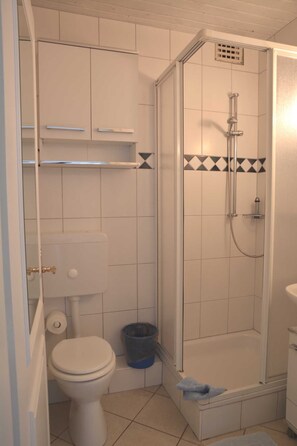 Een kleine badkamer met toilet, douche en wastafel.