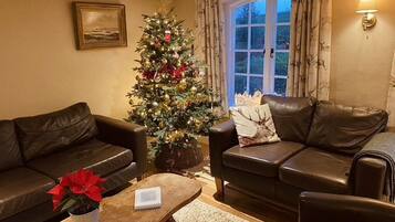 Televisión, chimenea