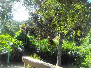 A bench in a lush garden with dense foliage and a variety of plants.