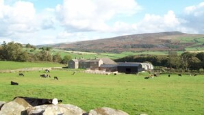 A rural landscape with a green field, cows, and farm buildings. - Clougha View (Lancaster)