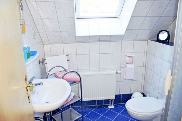 Une petite salle de bain compacte, dotée d’un puits de lumière, d’un lavabo, de toilettes et d’un miroir.