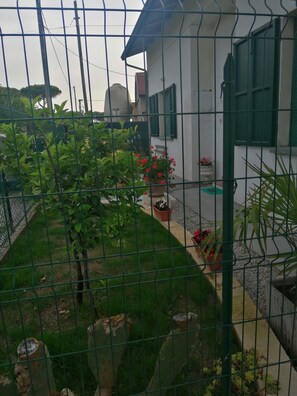 Stroll through the serene garden, surrounded by lush potted plants and a small tree, to the charming entrance of this residential haven.