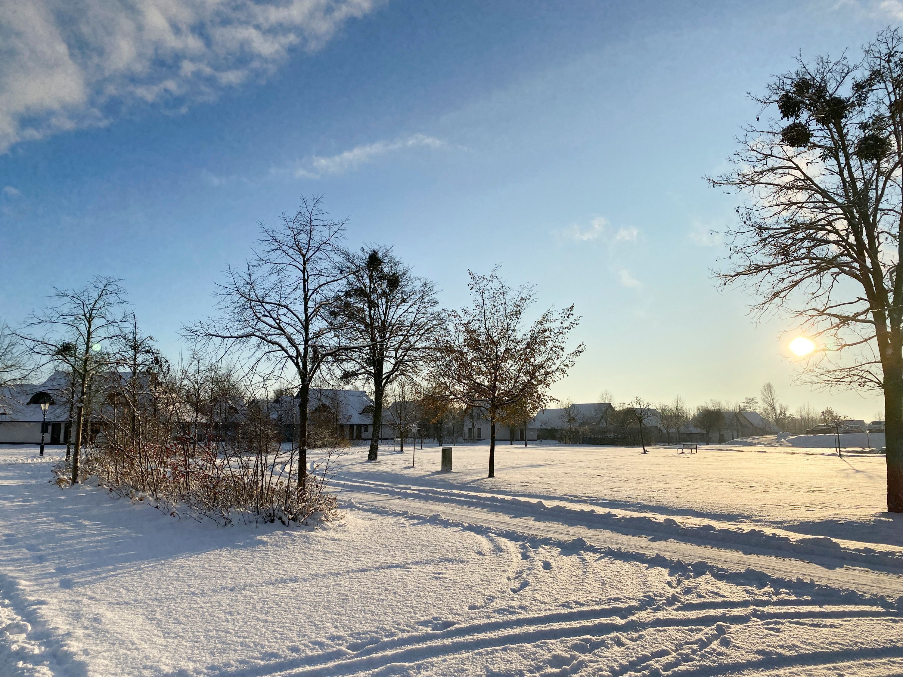 A snow-covered landscape with bare trees and a clear sky.