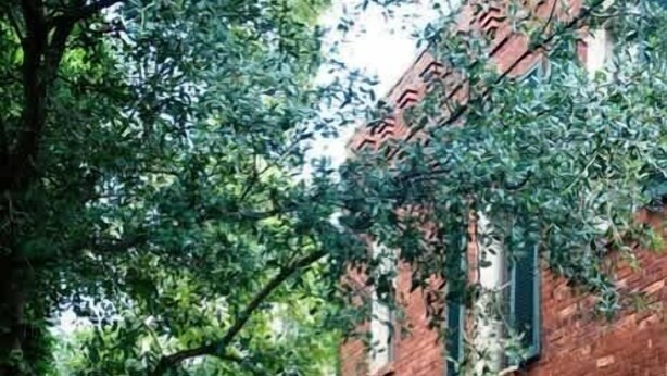 Un edificio de ladrillo con ventanas cubiertas de hiedra y un camino de ladrillo que conduce a un edificio blanco.