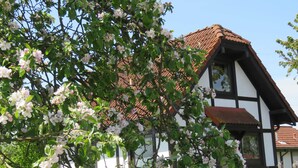 Ett traditionellt hus med korsvirkesfasad och tegeltak, omgivet av blommande träd.