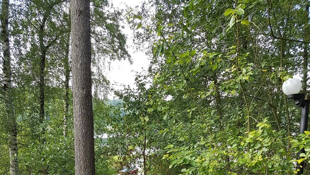 A stone pathway leading through a wooded area with a metal fence and a lamp post. - House 2 - Holiday home family Acker (Lychen)
