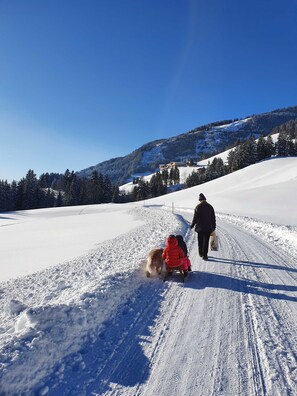 Billede uden beskrivelse, 5 af 68, knap