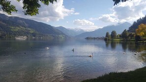 Imagem sem classificação, 5 de 68, botão