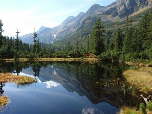 Billede uden beskrivelse, 4 af 68, knap