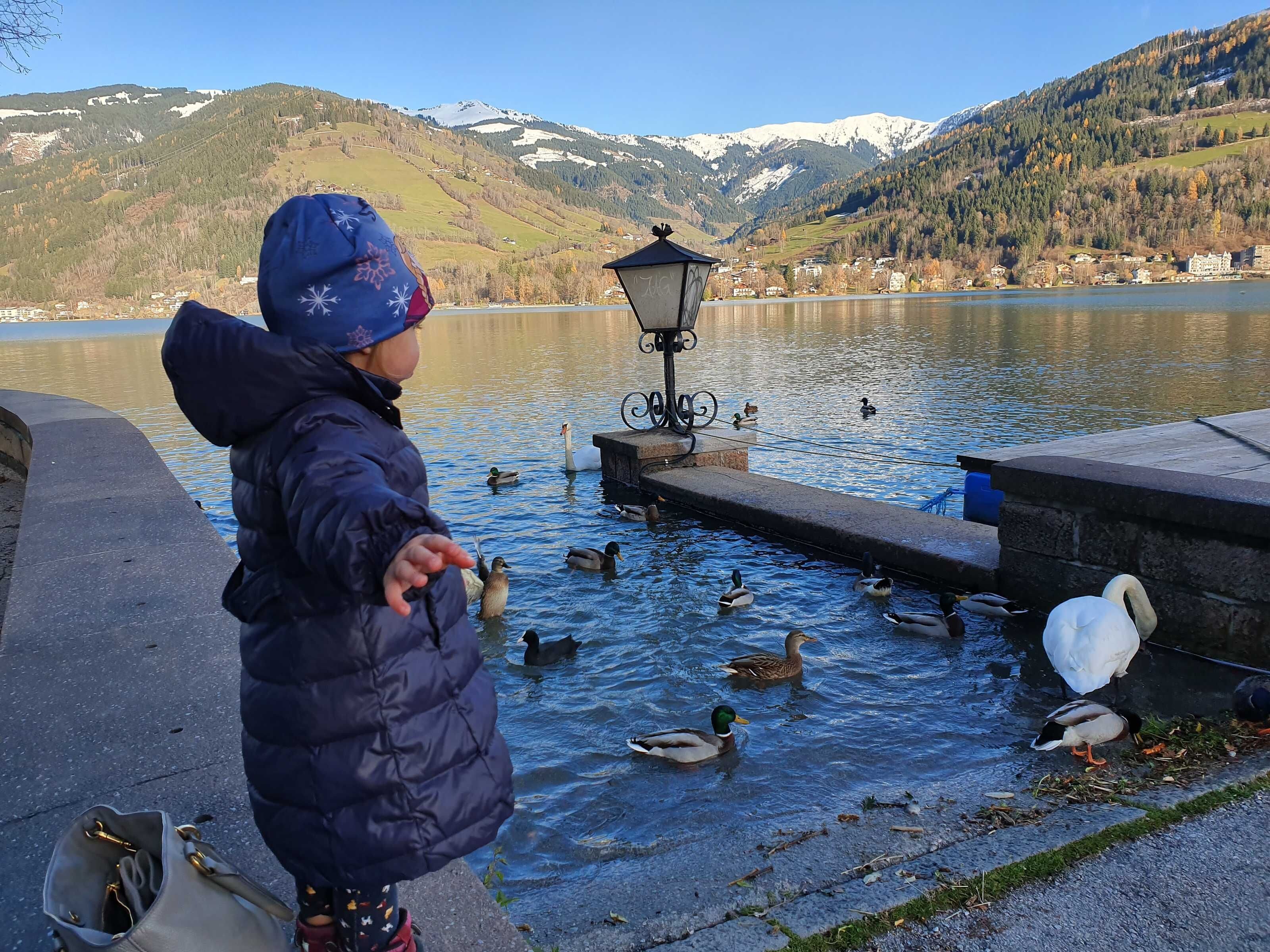 Ein Kind beobachtet Enten an einem stillen See, im Hintergrund Berge.