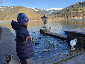 A child observing ducks by a calm lake with mountains in the background. - Apartment 4 - Apartment Pension Bäckenhäusl (Uttendorf)