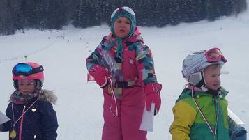 Sneeuw- en skisporten