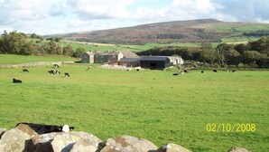 A rural landscape with a barn, cows grazing, and rolling hills in the background.