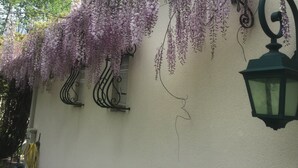 Un edificio de fachada blanca, un farol verde y enredaderas florecientes púrpuras.