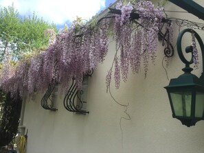 Détail de l’extérieur