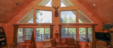 智能電視、壁爐、電子遊戲、DVD 播放機