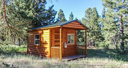 LUXURY Duck Creek Pines Cabin, Trailside Lodge backs forest!