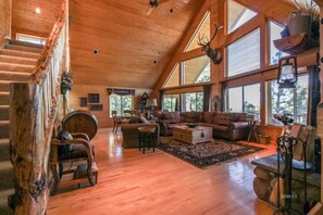 TV connectée, cheminée, jeux vidéo, lecteur de DVD