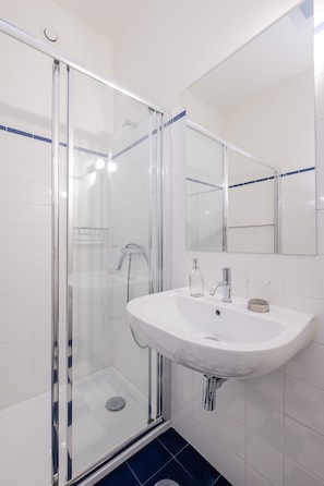 Shower, hair dryer, bidet, towels