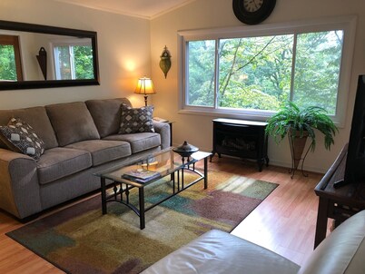 Mountain Chalet, Close to Downtown, Dog Friendly