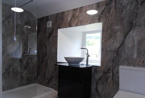 Regadera, secadora de cabello, toallas, papel de baño 