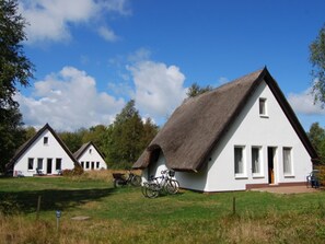 Eksteriør