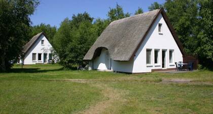 Doppelhaushälfte (Terrasse) - Doppelhaus Hiddensee bei Vitte