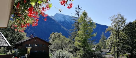 Terrain de lâhĂ©bergement