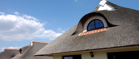 A row of houses with thatched roofs and white walls, featuring large windows and a clear sky.