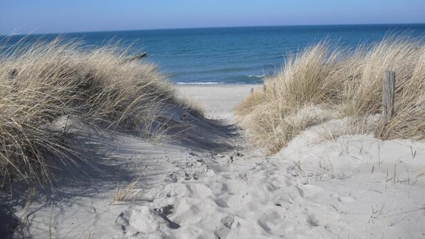 A sandy beach path leading to the ocean, surrounded by dry grass. - Apartment Beulig-Tietz 2 - Apartment Beulig-Tietz GM 69105 (Graal-Müritz)