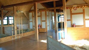 A spacious interior with wooden beams, a loft area, and a view of the outside. - Sleeping berth in Heukoje (Box 2) - Hay bunks on the farm (Putbus)