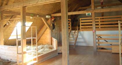 Schlafplatz in Heukoje ( Box 2) - Heukojen auf dem Ferienhof