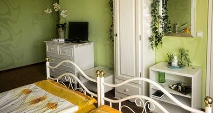 Pension Haus Germania - Kahden hengen huone
