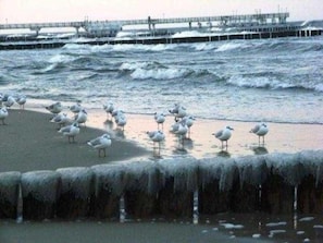 NĂ€ra stranden