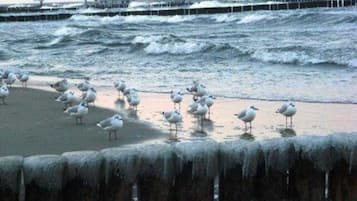 在海灘附近