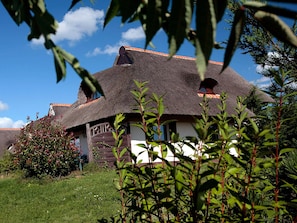 Een traditioneel huis met rieten dak, een houten deur en een klein raam, omringd door begroeiing.