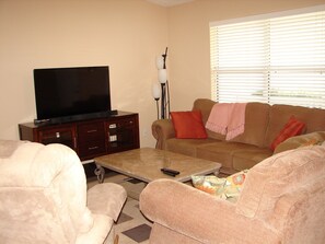 TV, DVD player, video library
