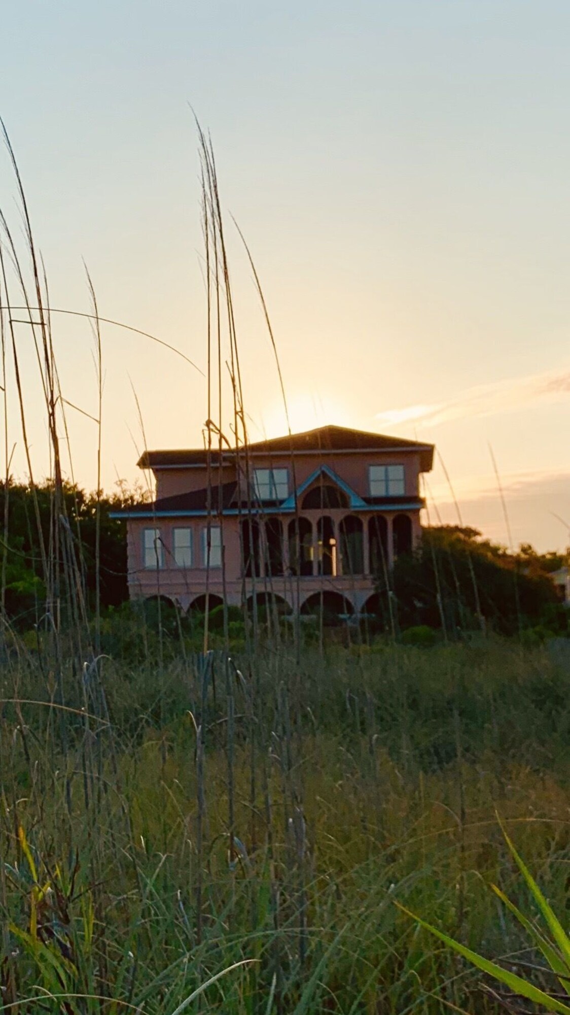 Værtens profilbillede