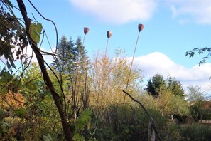 A natural outdoor setting with trees and a clear sky. - Single room Benedikt - House Lehmkloster am Wangeliner Garten with 5 single rooms (Buchberg)