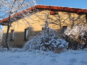 Ein Haus mit rotem Dach, einem Fenster und schneebedeckten Pflanzen.