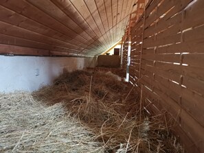 Botón de imagen sin clasificar, 2 de 21