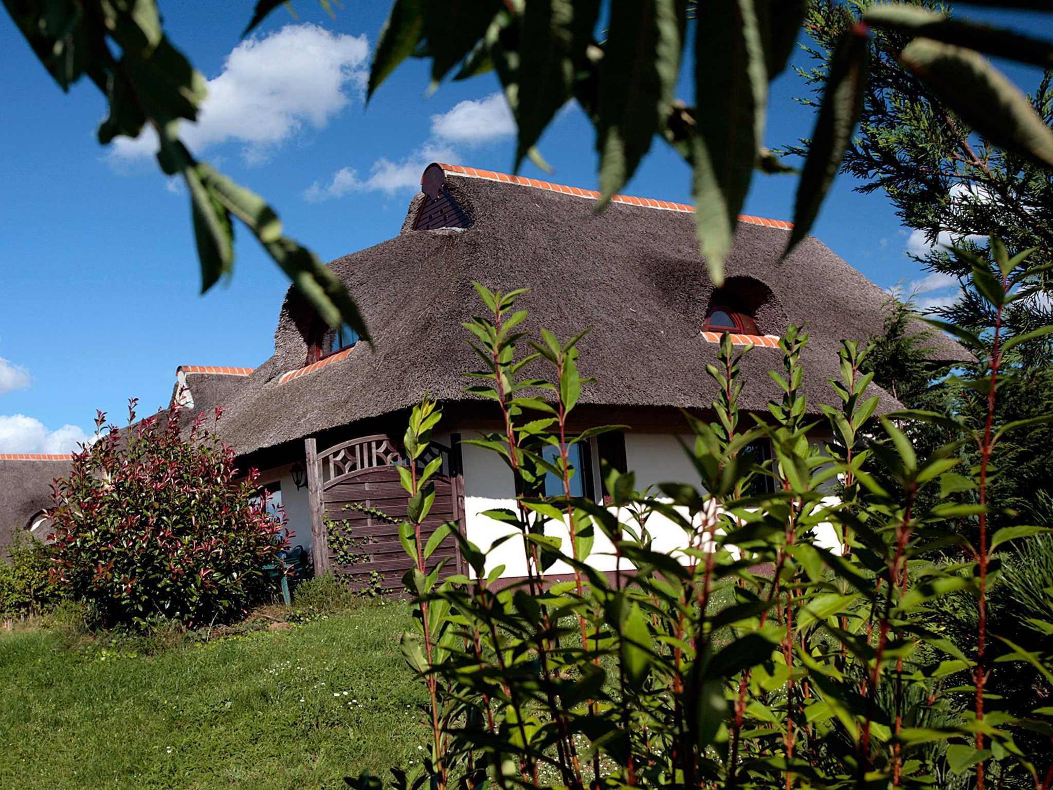Une maison traditionnelle à toit de chaume, dotée d’une porte en bois et d’une petite fenêtre, entourée de verdure.