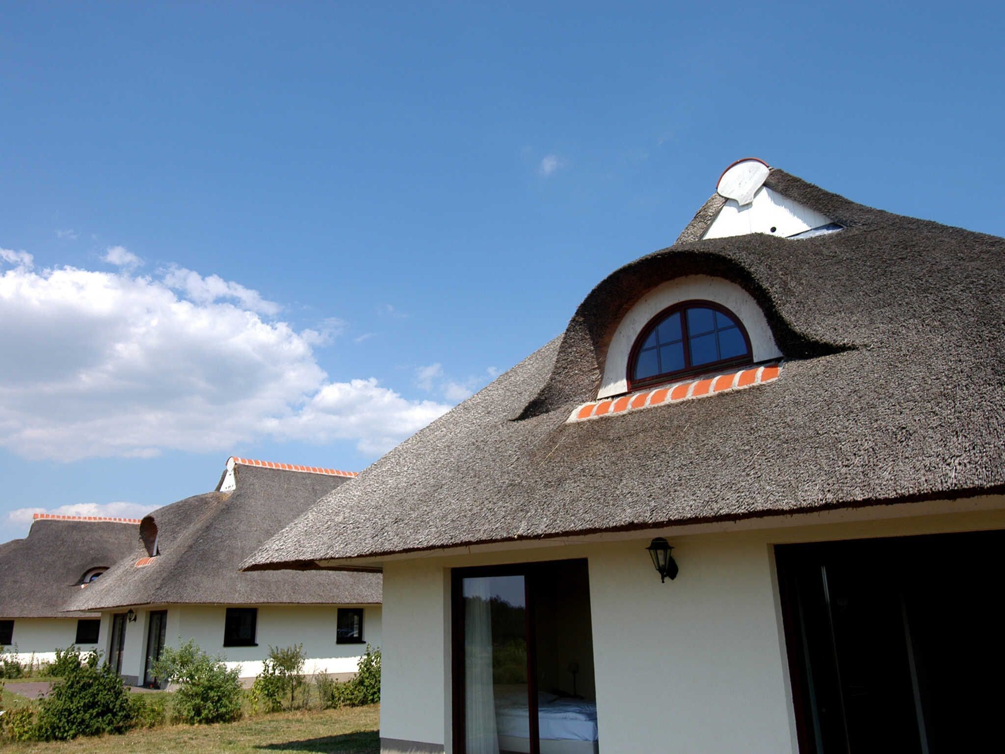 A row of houses with thatched roofs and white walls, featuring large windows and a clear sky.