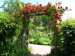 En trädgårdstig med en träbåge som är täckt av röda blommor.